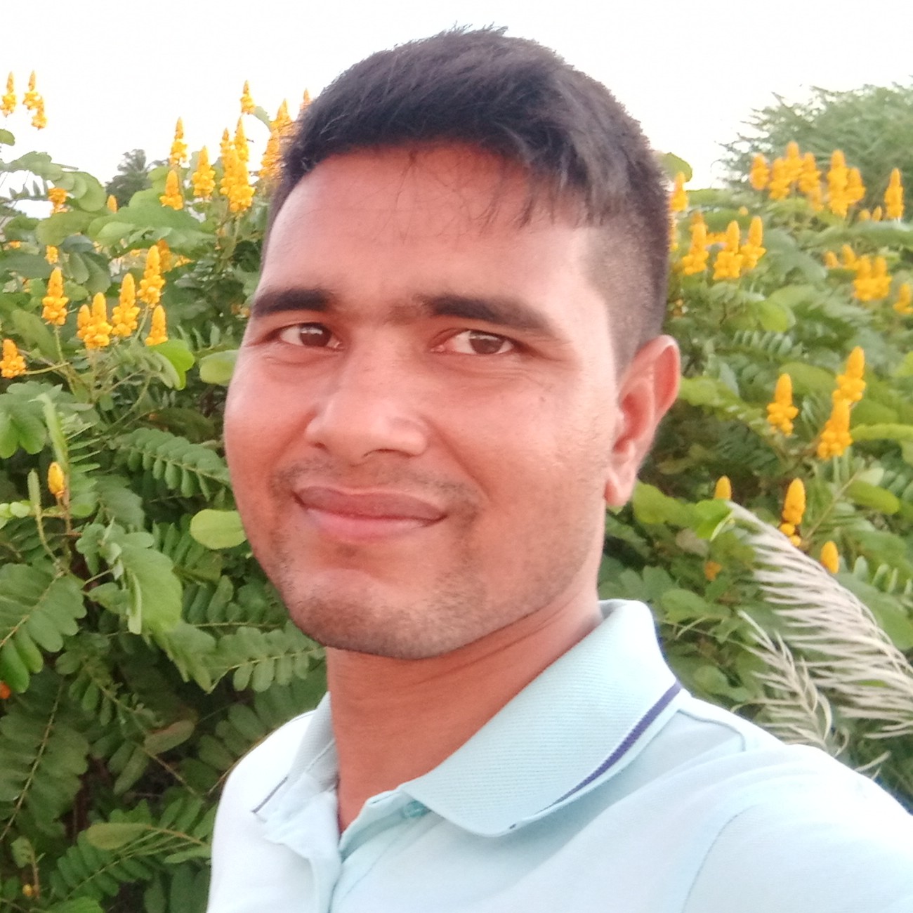 Salim's Avatar